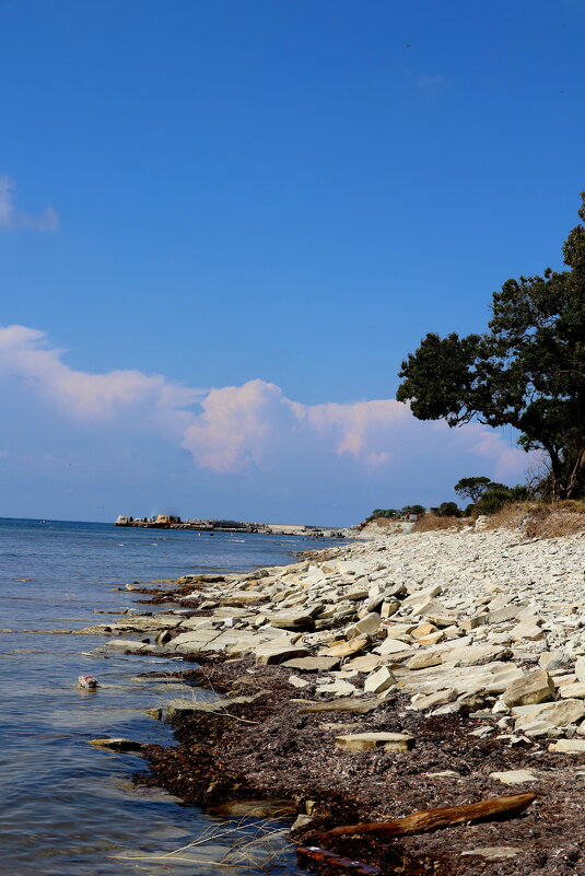 Берег. - Александр Кондаков