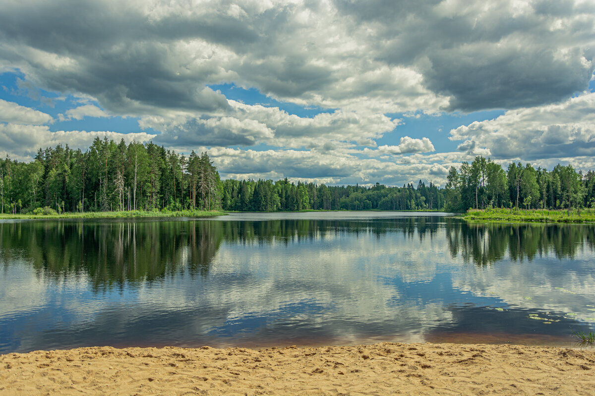 У лесного озера - Александр Филатов