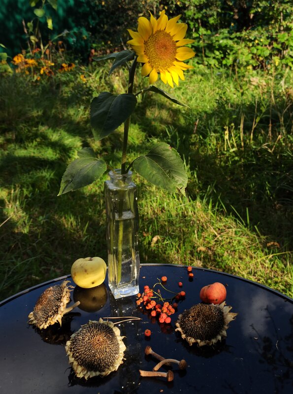 Осеннее утро - veilins veilins