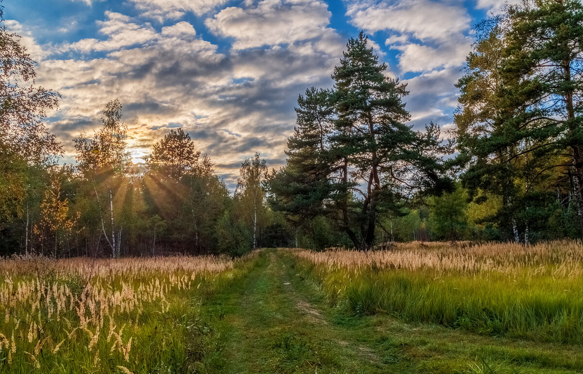 Осень она не спросит 15 - Андрей Дворников