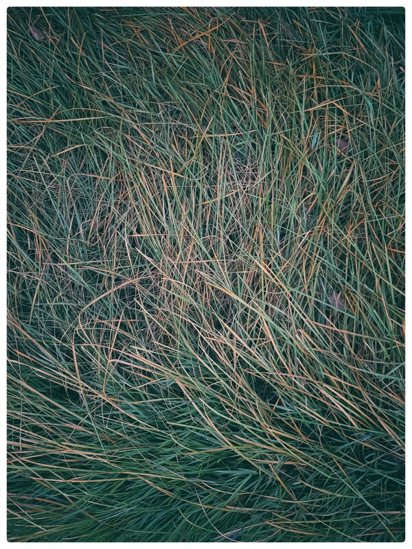 *** - someone somewere