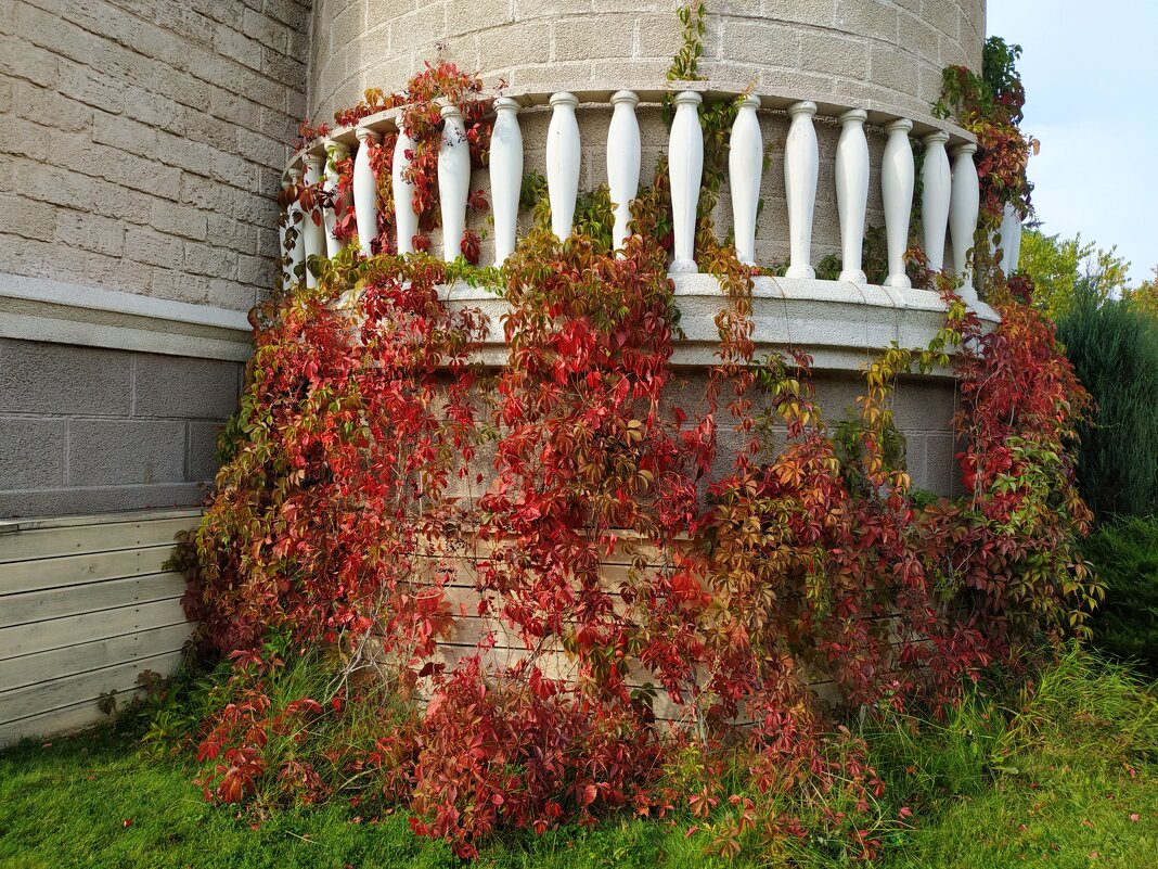 Красные наступают - Андрей Лукьянов