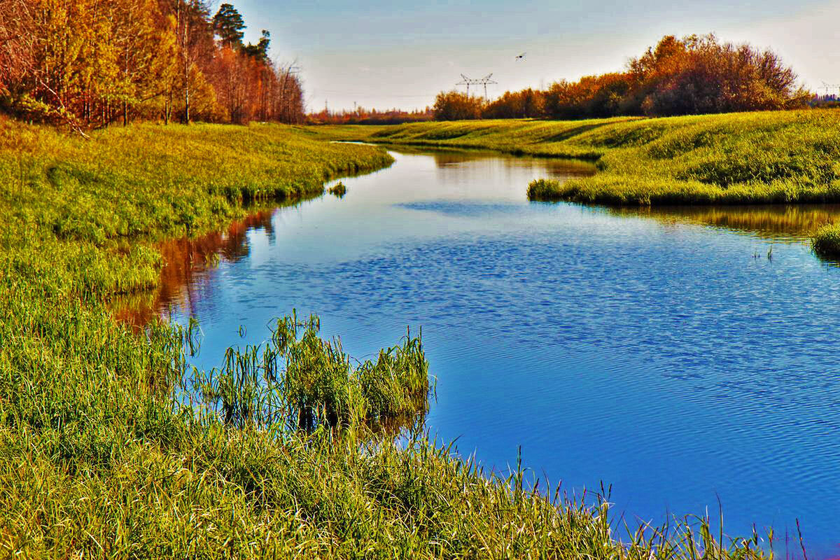 Золотая осень на Сыром Агане! - Владимир 