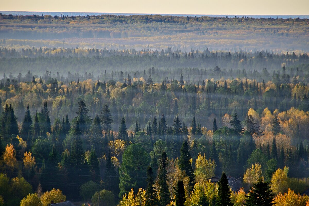- - Владимир Мигонькин - - Владимир Мигонькин