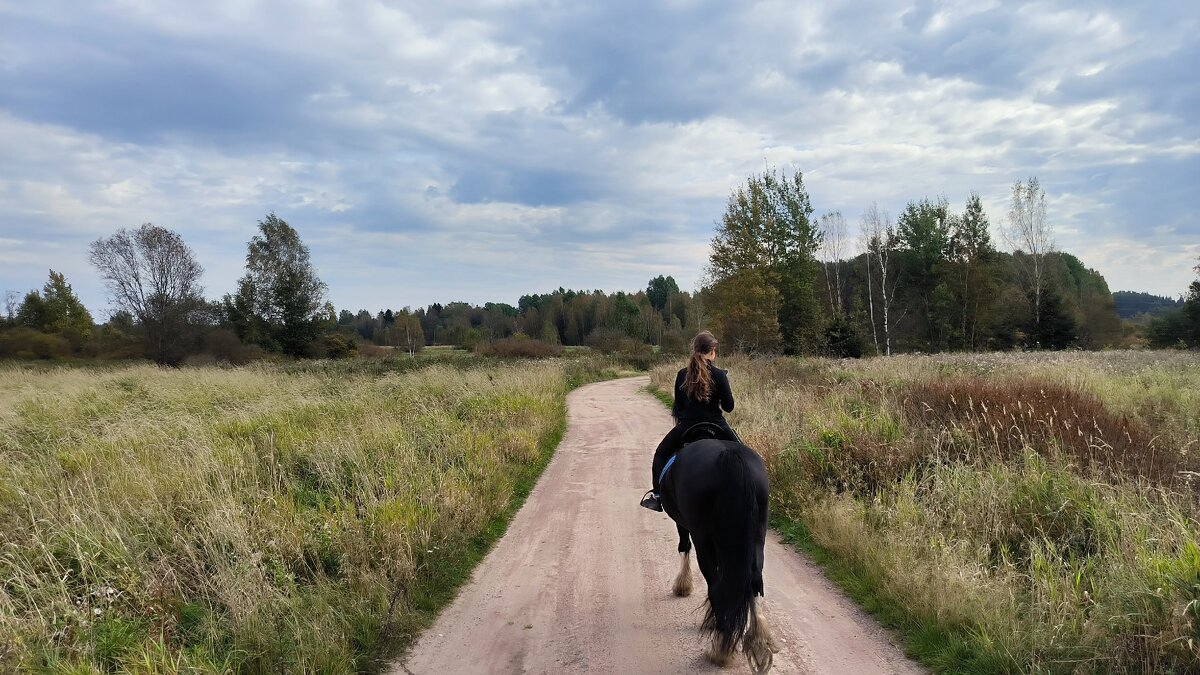 Сентябрьский день в полях. - Ольга 