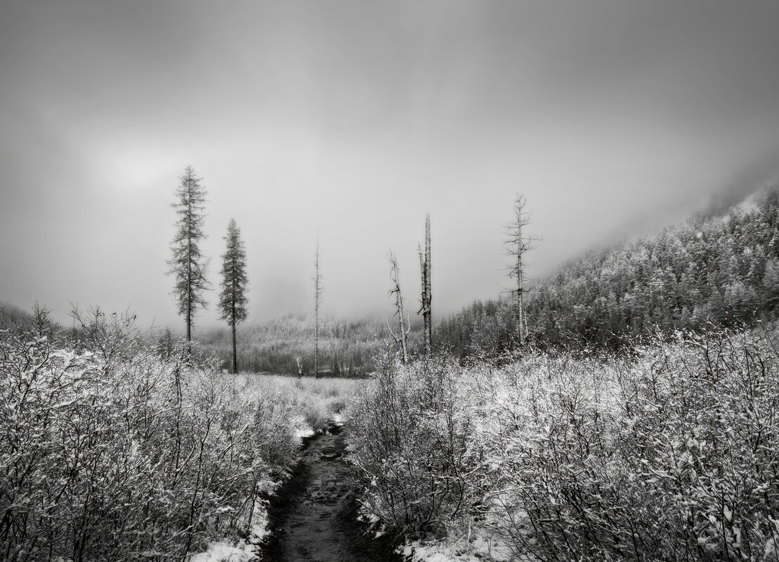 * - Александр Иванов * - Александр Иванов