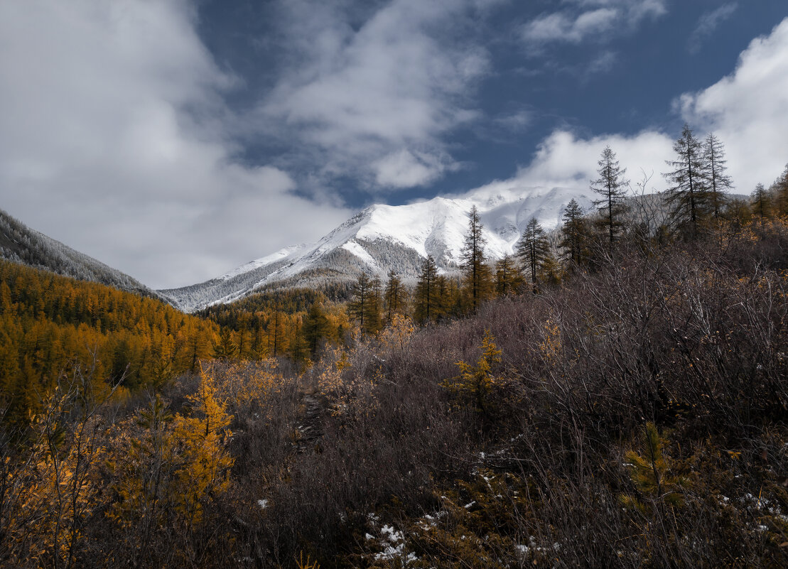 * - Александр Иванов