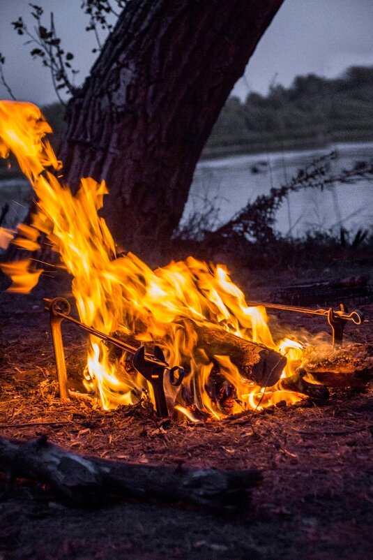 костер у Дона - Тамара Федорова