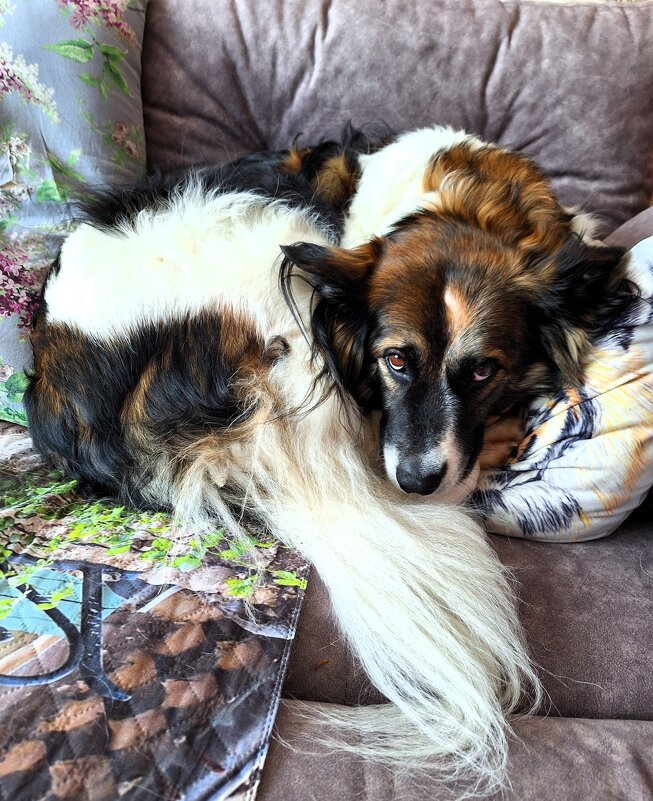 Ося - Наталья 