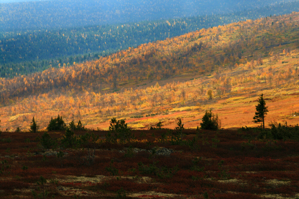 Сентябрь в горах Северного Урала - Галина Ильясова