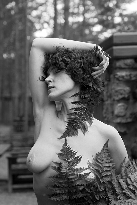 *** - Алексей Смирнов