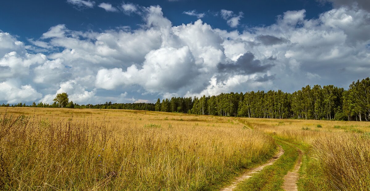 *** - Андрей Андрианов