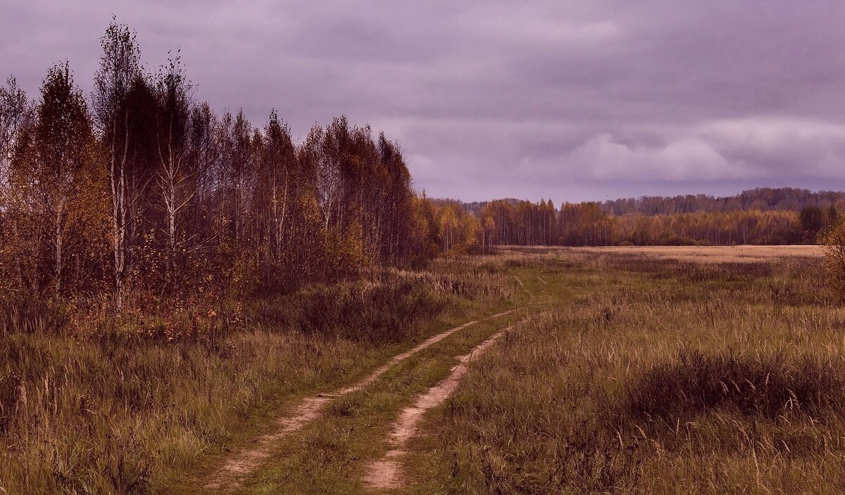*** - Андрей Андрианов