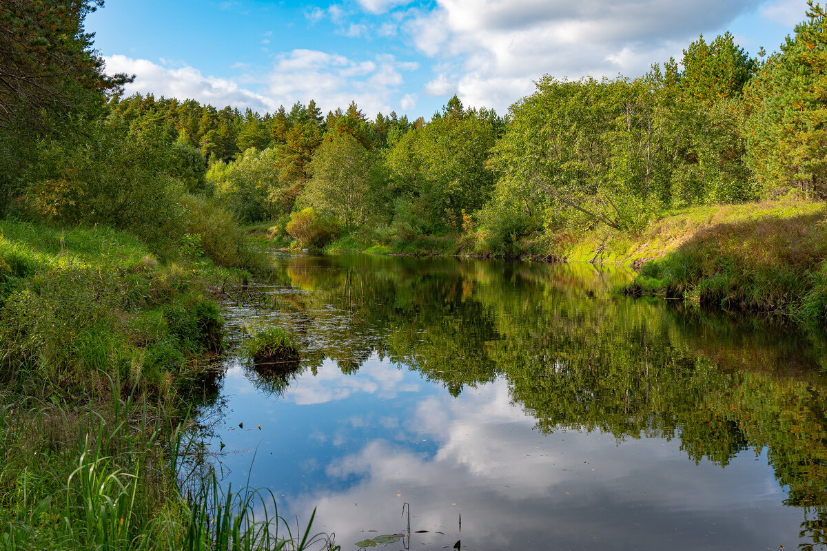 На берегу безымянной реки - Serega Alucard X2