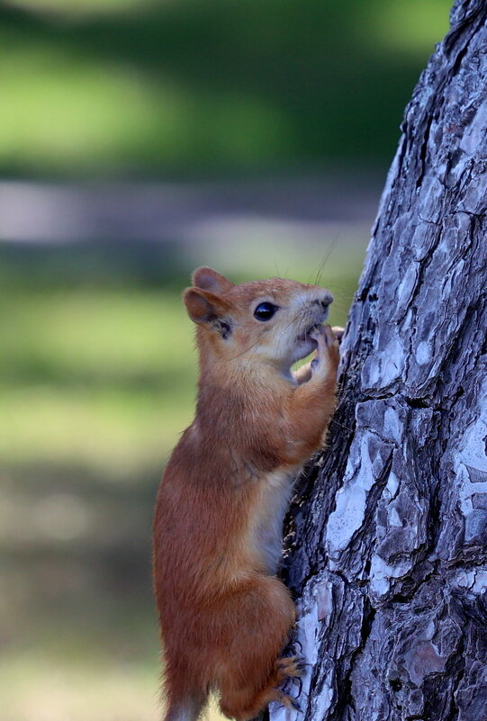 Умыться после угощения... - Александр Кондаков