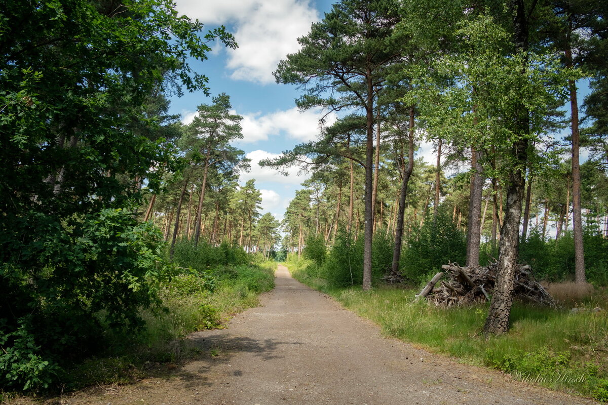Дорожкой длинною... - Николай Гирш Дорожкой длинною... - Николай Гирш