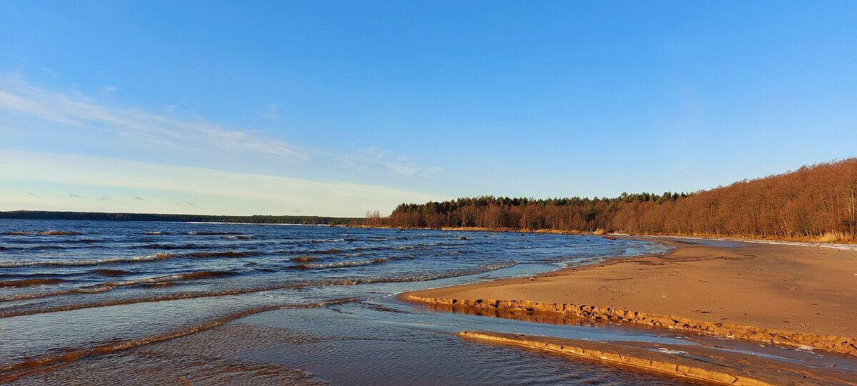 Желтая бухта - Хватова Марина 
