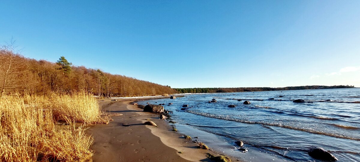 Бухта Желтая - Хватова Марина 