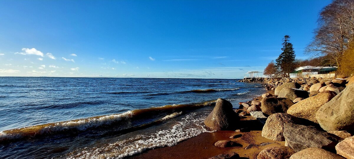 Репино - Хватова Марина 
