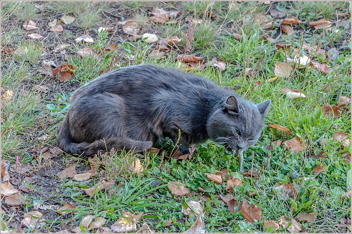 Диалоги о рыбалке - Aquarius - Сергей