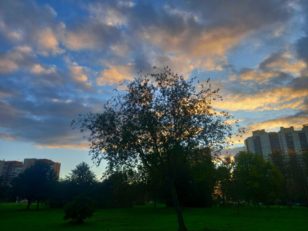 Закат - Сапсан 