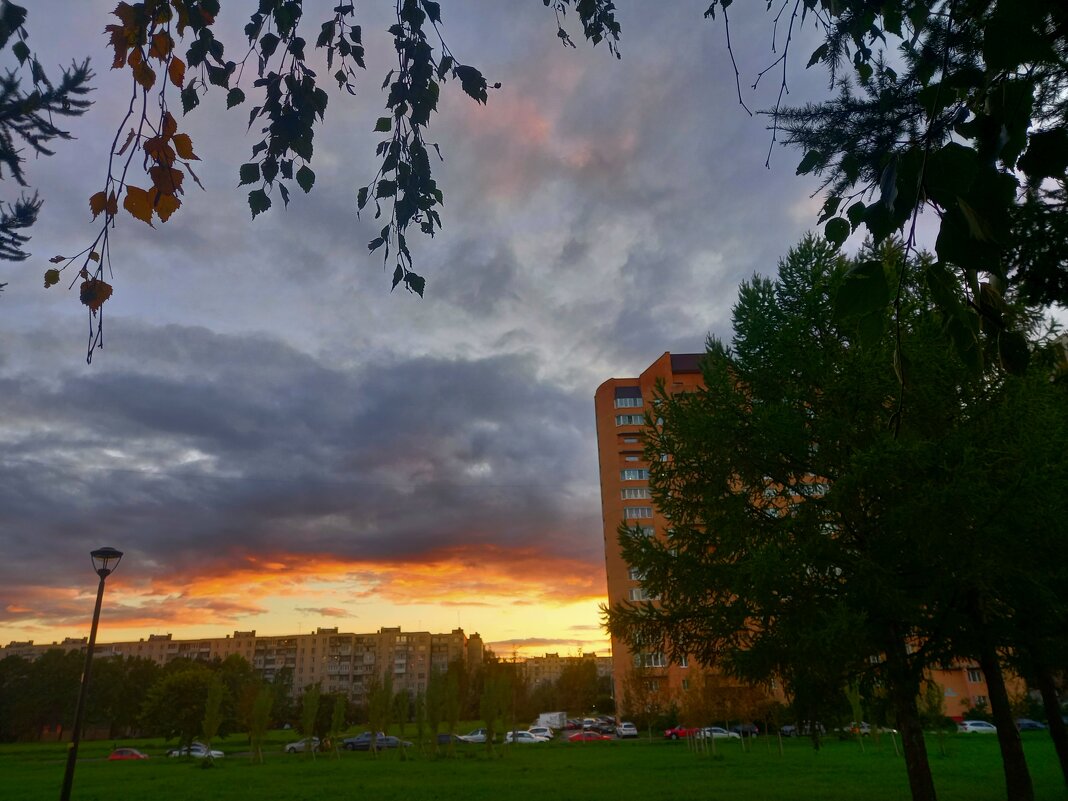 Закат - Сапсан 