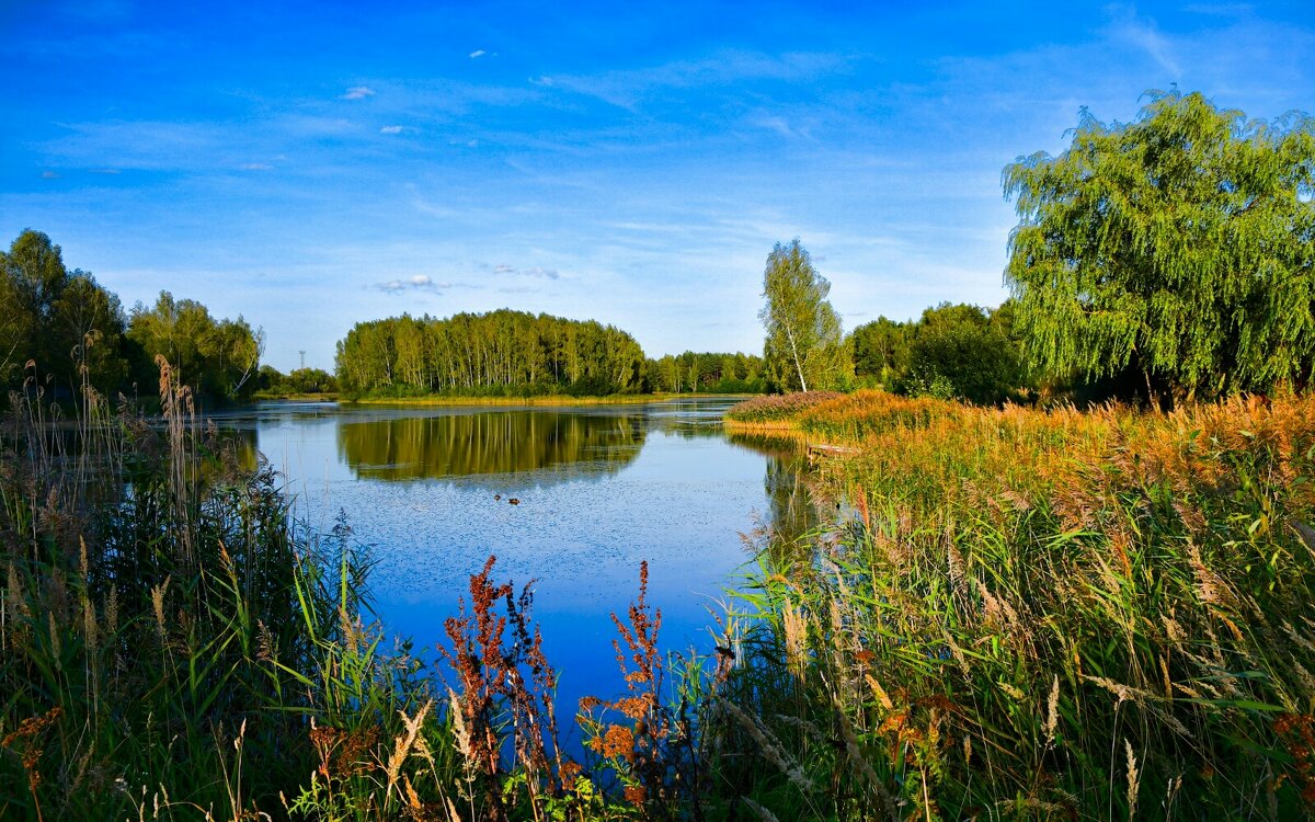 Природа Смоленщины в сентябре. - Милешкин Владимир Алексеевич 