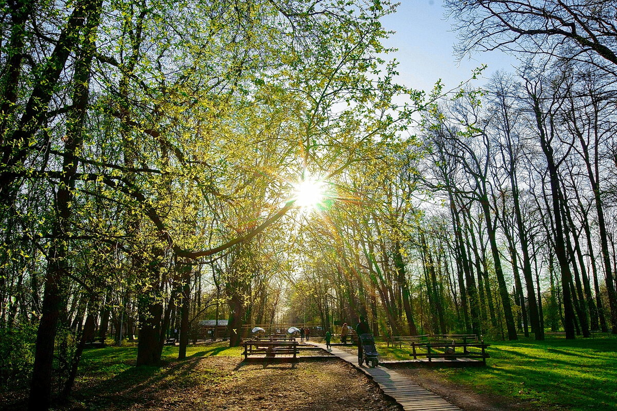 Солнце 8 - Игорь Тельцов