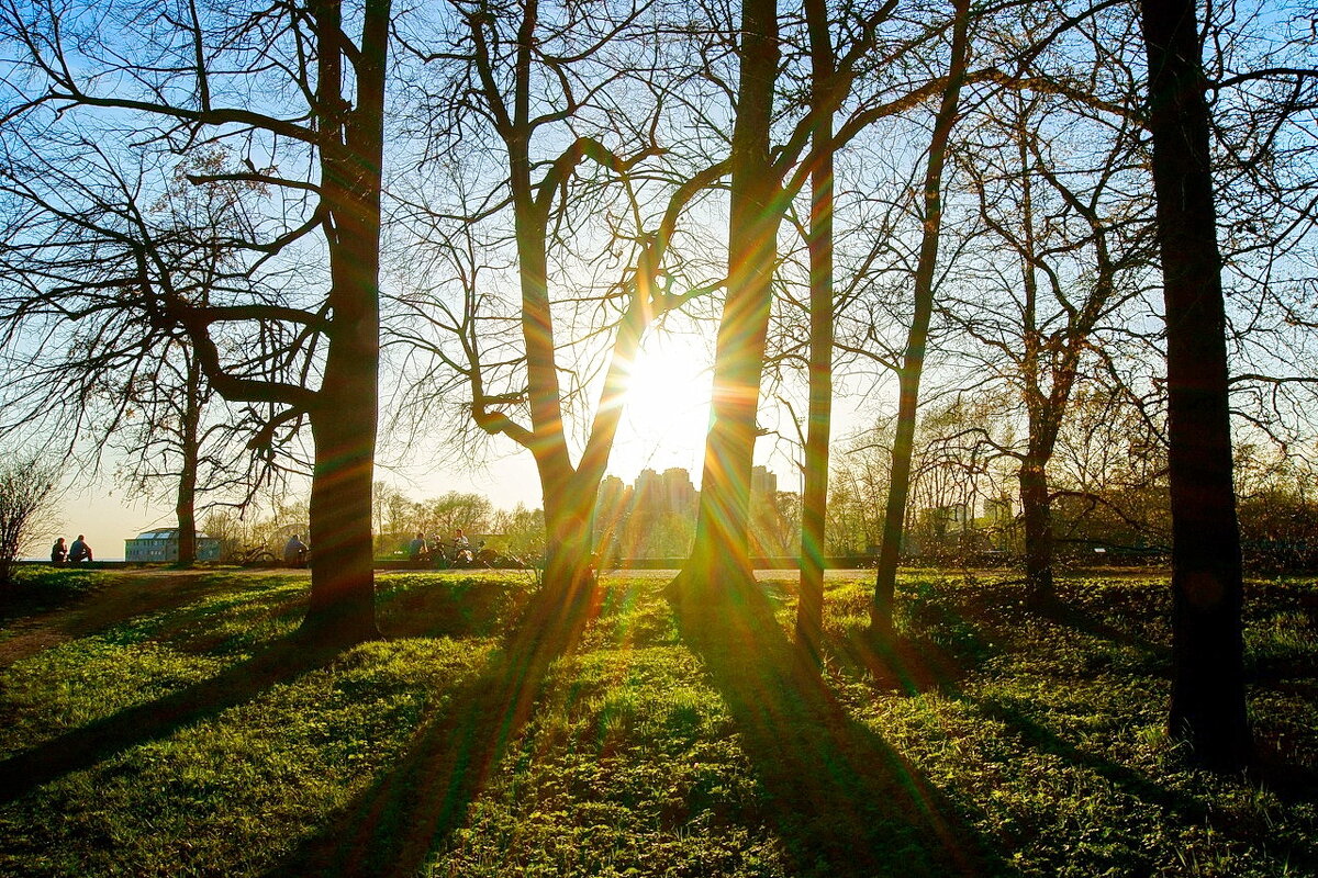 Солнце 10 - Игорь Тельцов