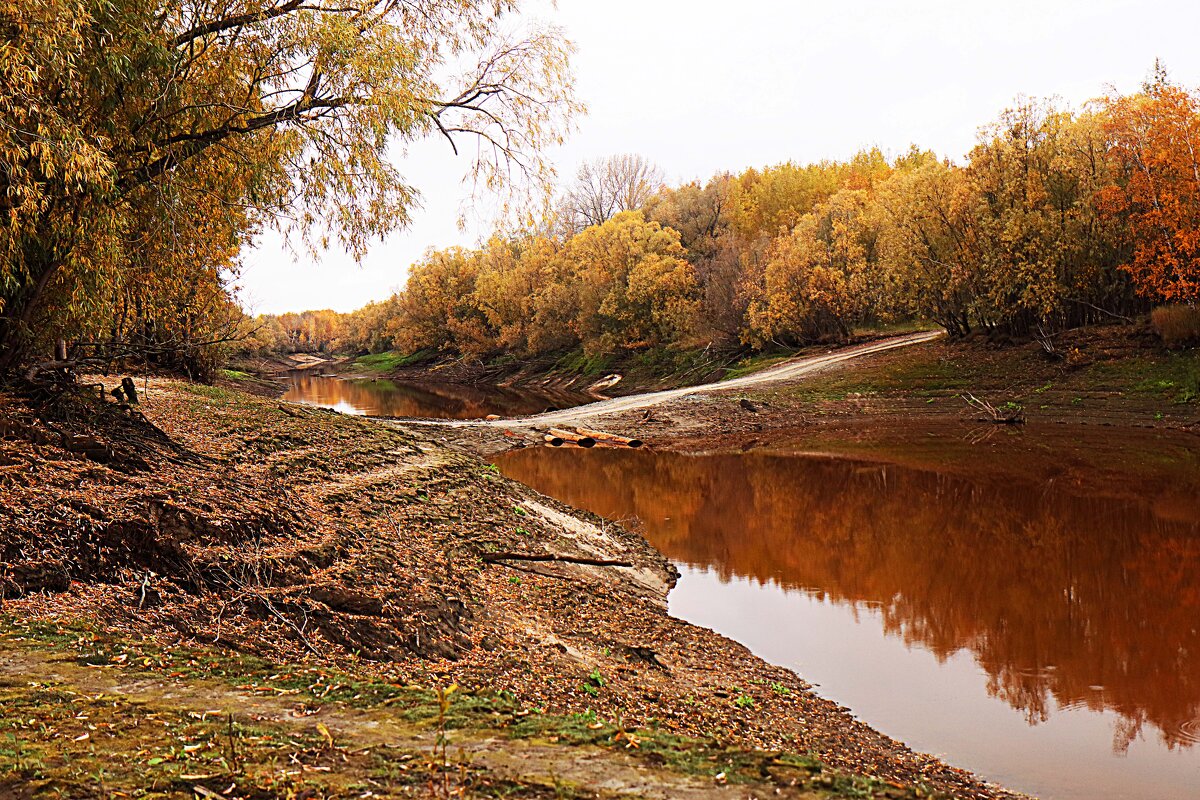 Сентябрь...Здесь протока Коим впадает в Обь. - Владимир 