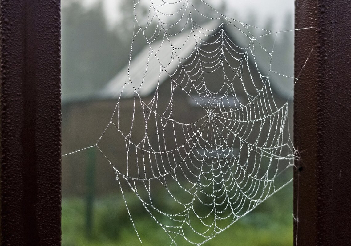 Осень - Валерий Иванович