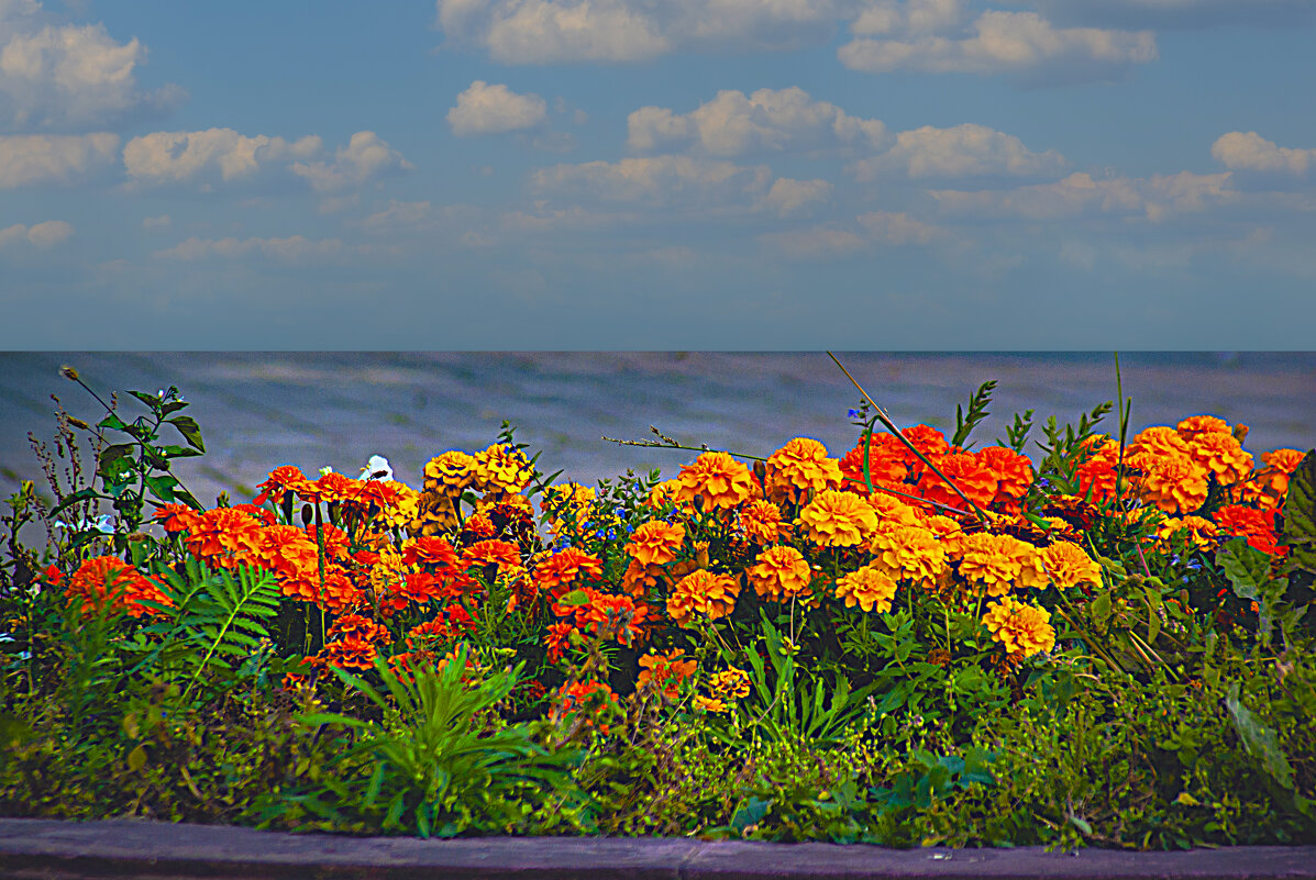Осенний цвет - Владимир Кроливец