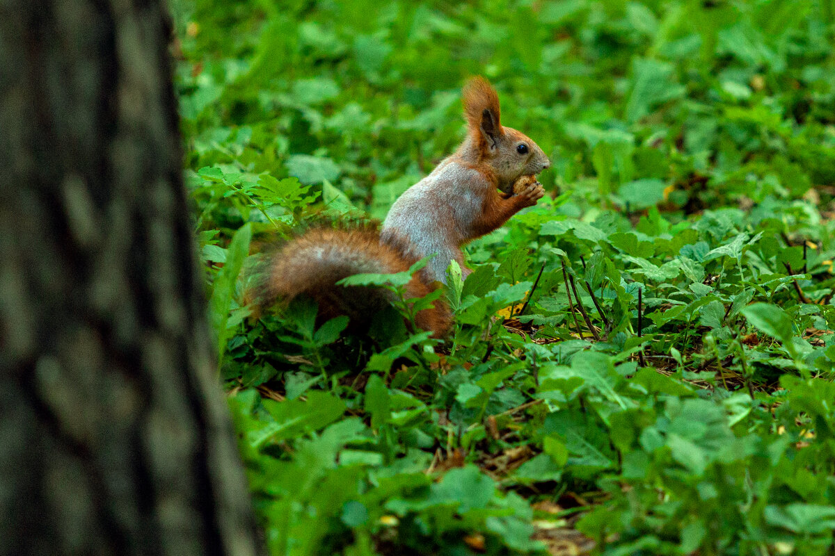 пока не кто не видит - Denis Doroshenko