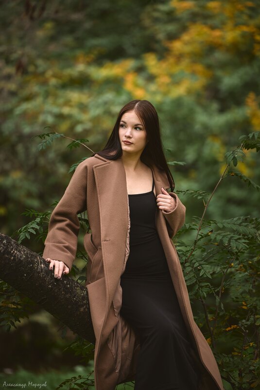 Девушка в парке - Александр Морозов