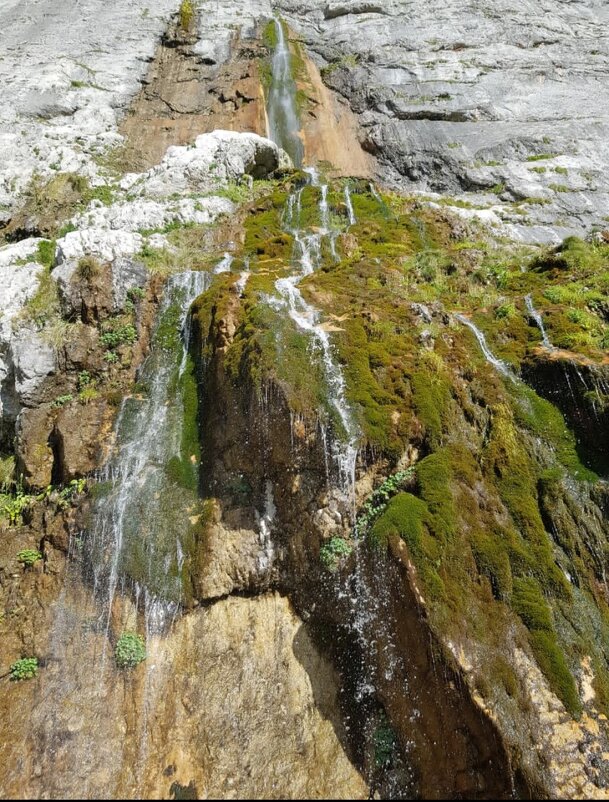 Пшехский водопаД - Tata Wolf