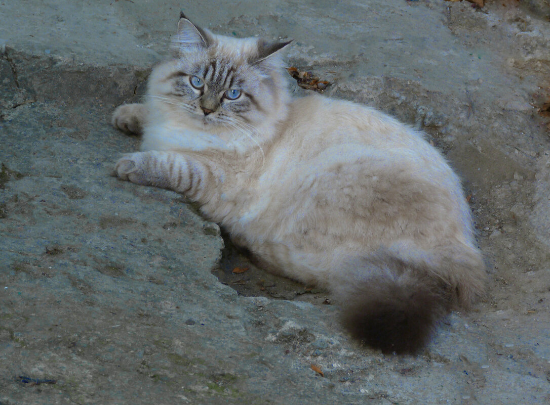 Серьёзный - Валентин Семчишин