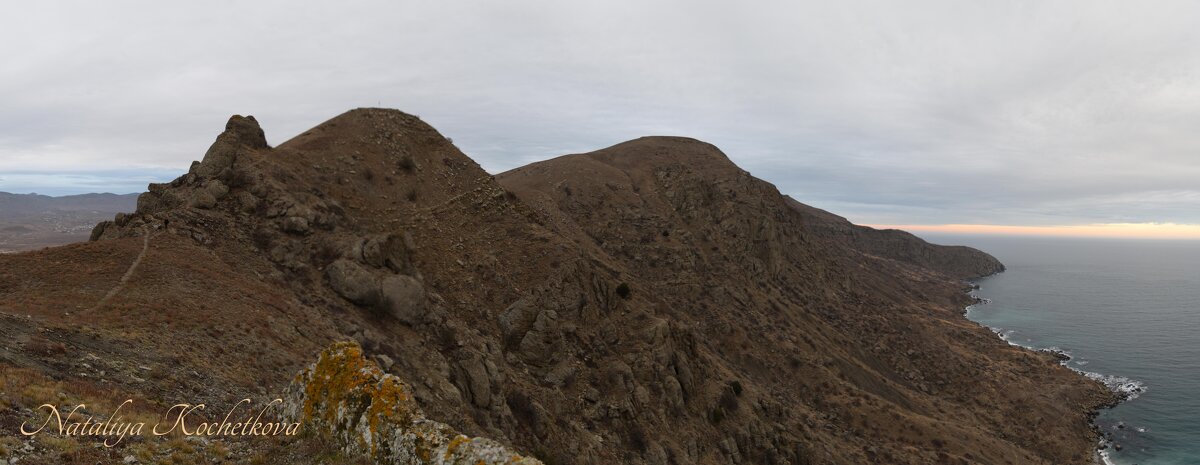 Природа Крыма - Amazing Cosmea