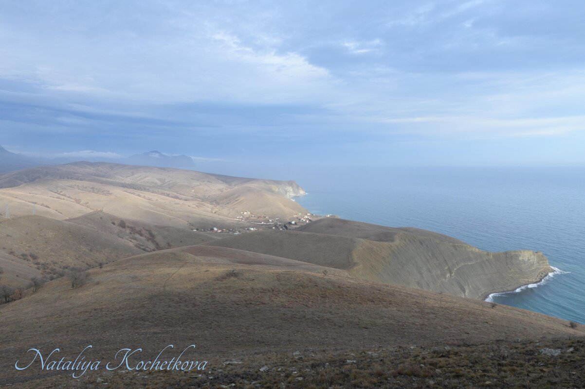 Природа Крыма - Amazing Cosmea