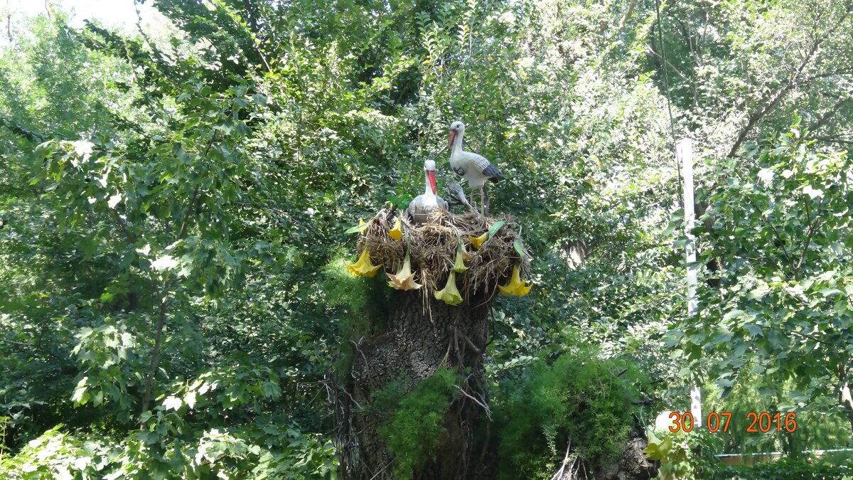 ГЕЛЕНДЖИК 2016 - СЕРГЕЙ ФИЛОЧКИН ГЕЛЕНДЖИК 2016 - СЕРГЕЙ ФИЛОЧКИН