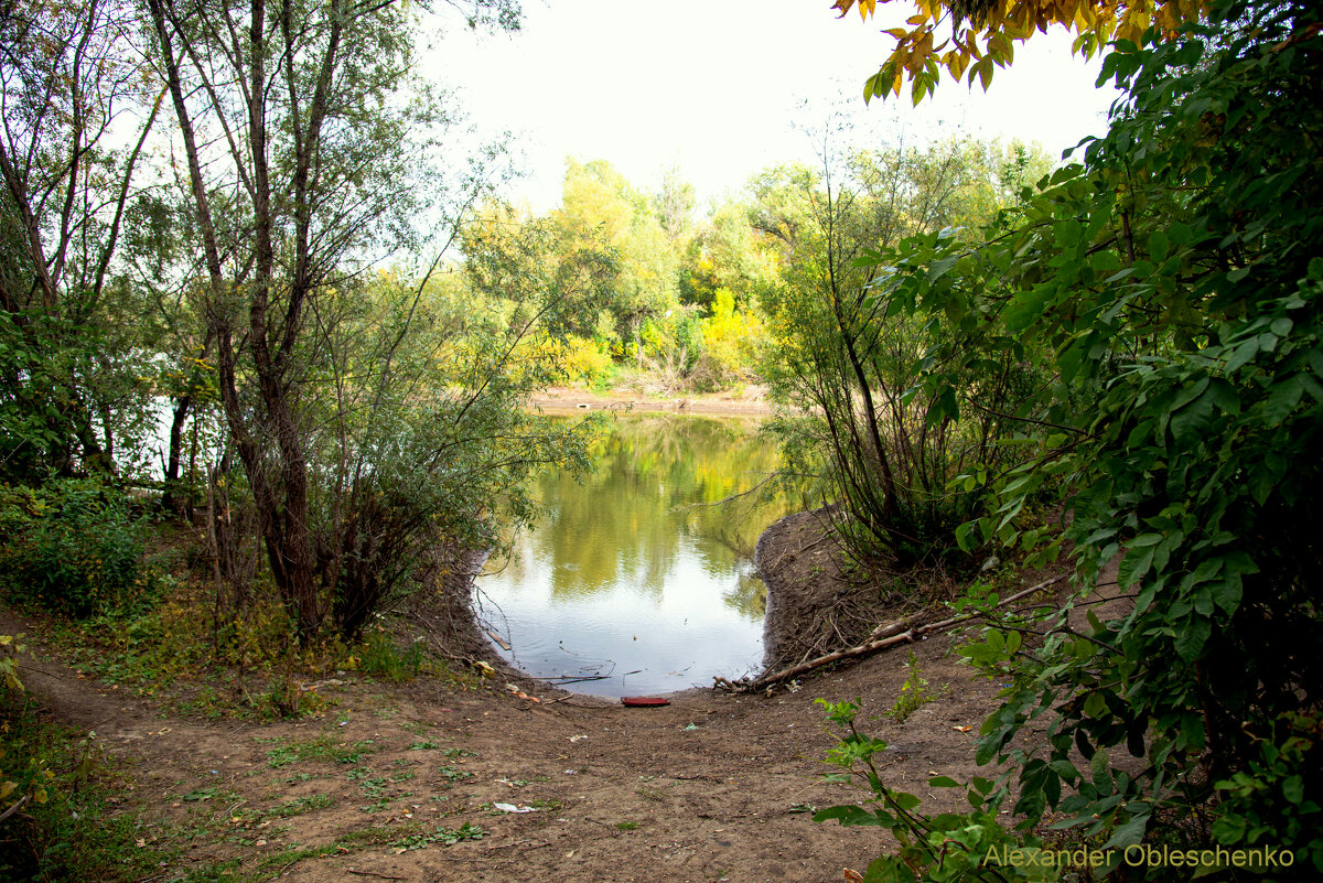 Уральск, Западный Казахстан, сентябрь в затоне имени Чапаева на реке Урал - Александр Облещенко