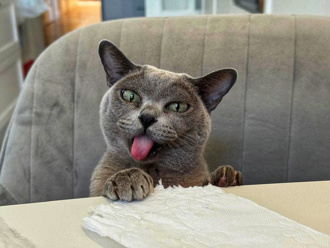 Вот вам!    ) - Сергей Б.