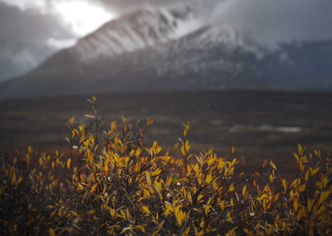 * - Александр Иванов