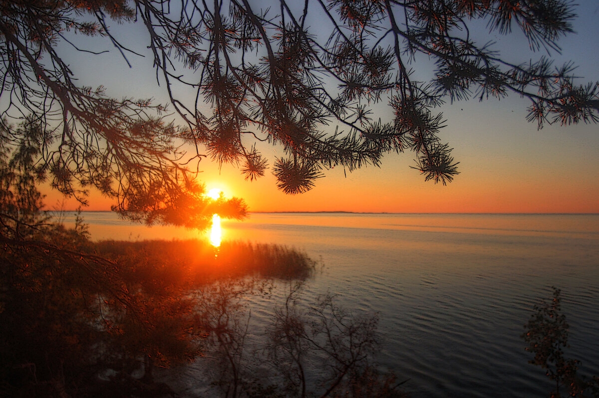 *** - Сергей Григорьев *** - Сергей Григорьев