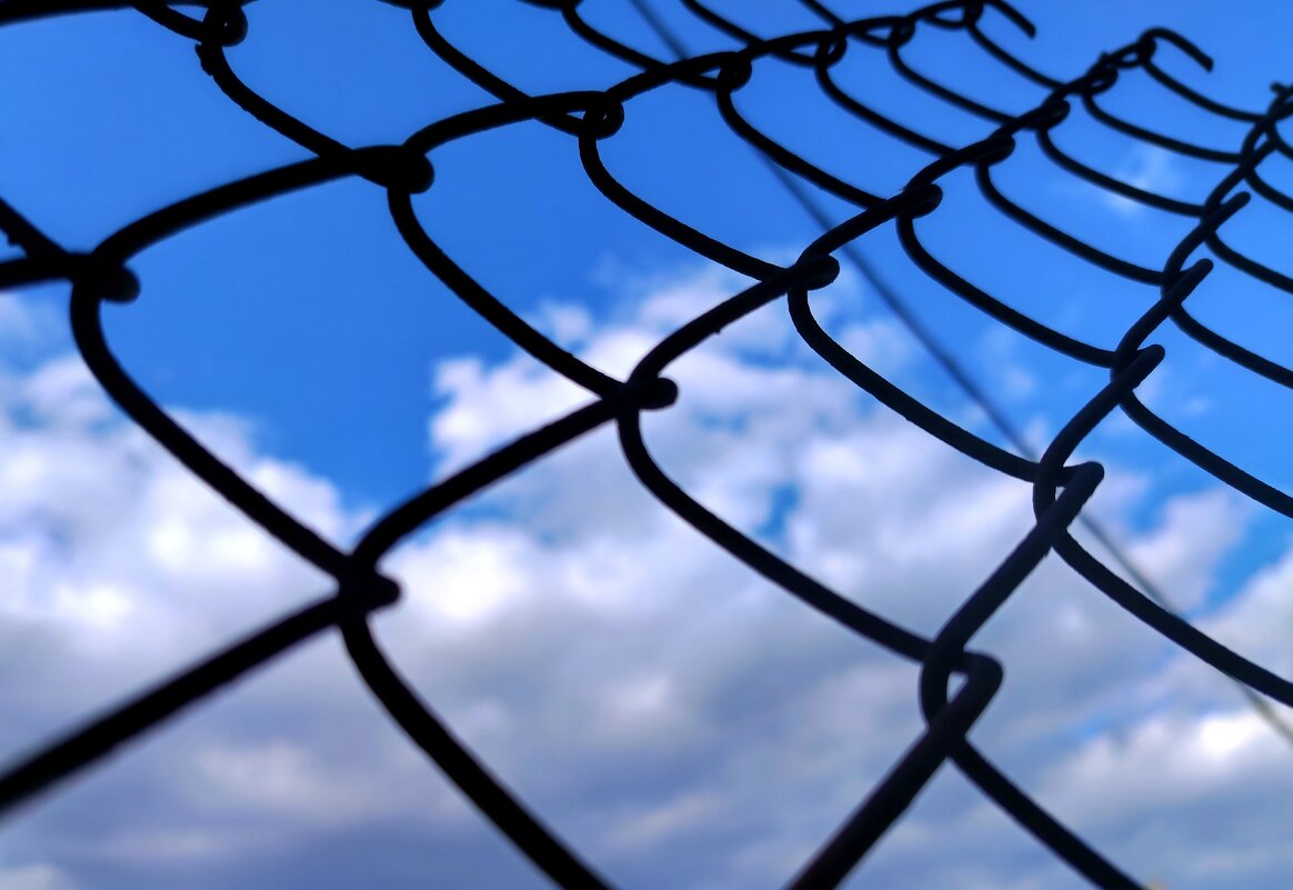 через сеть - Алексей Ильичёв