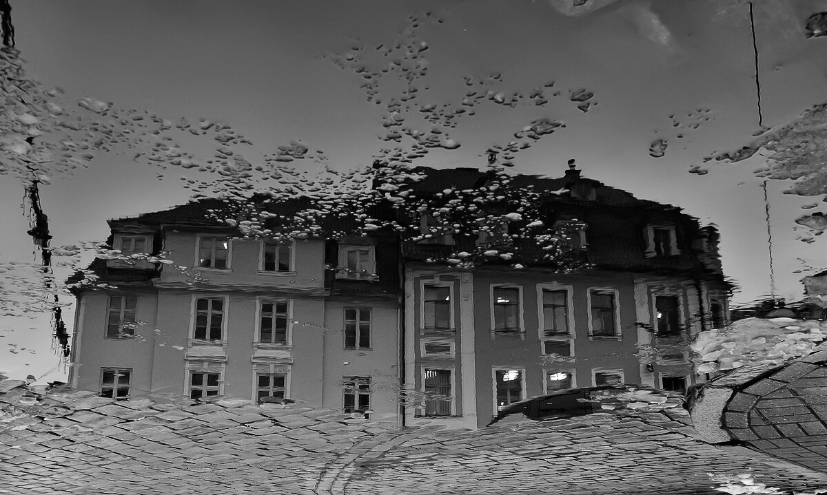 Сумерки - Регина 