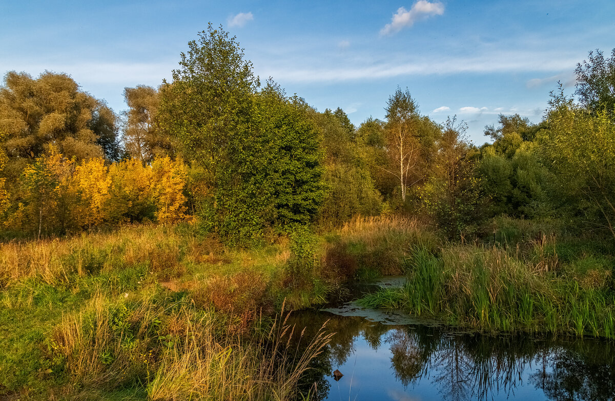 Цвет осени - Андрей Дворников