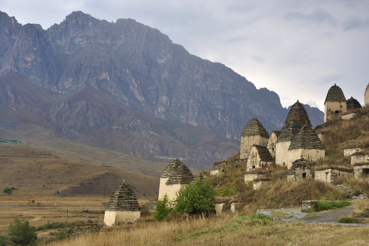 Город мертвых - Марина Виноградова