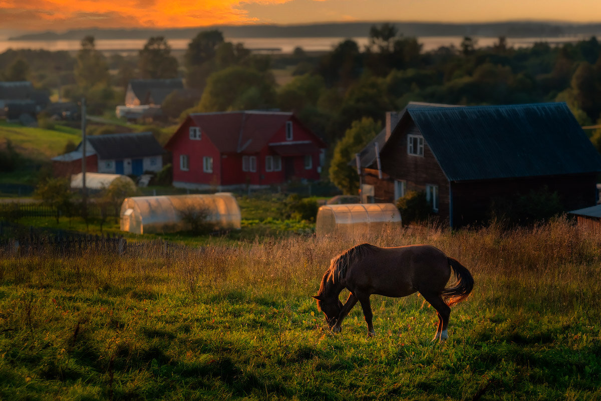 Тихий вечер - Aliaksandr Panchanka