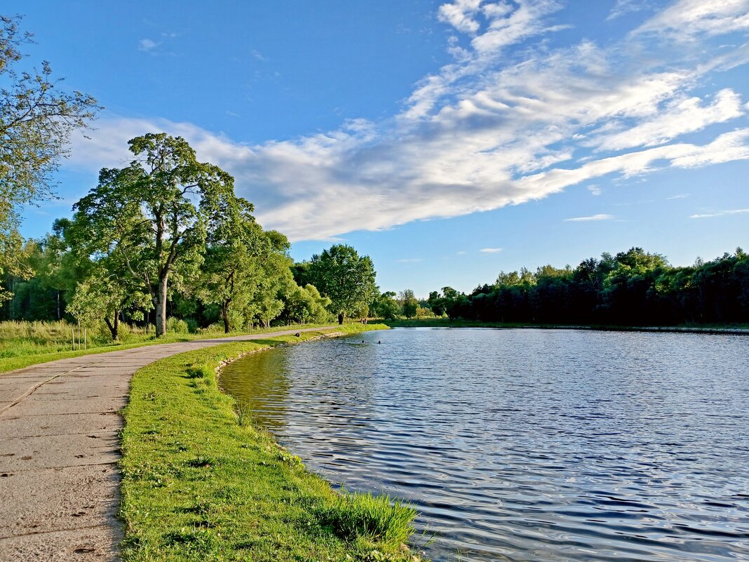 Это было летом, летом... - Лия ☼