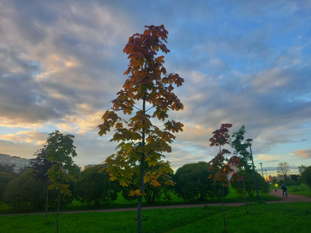 Закат - Сапсан 